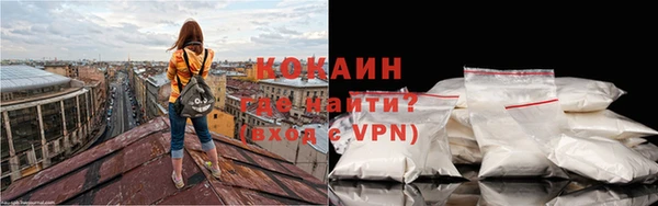 дурь Лабытнанги