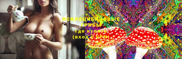 дурь Лабытнанги