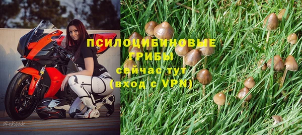 дурь Лабытнанги