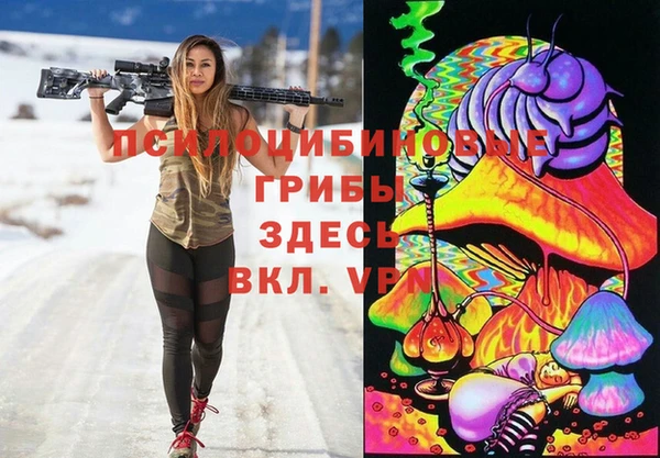 дурь Лабытнанги