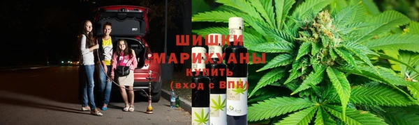 дурь Лабытнанги