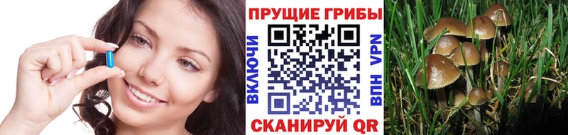 Галлюциногенные грибы Cubensis Можга
